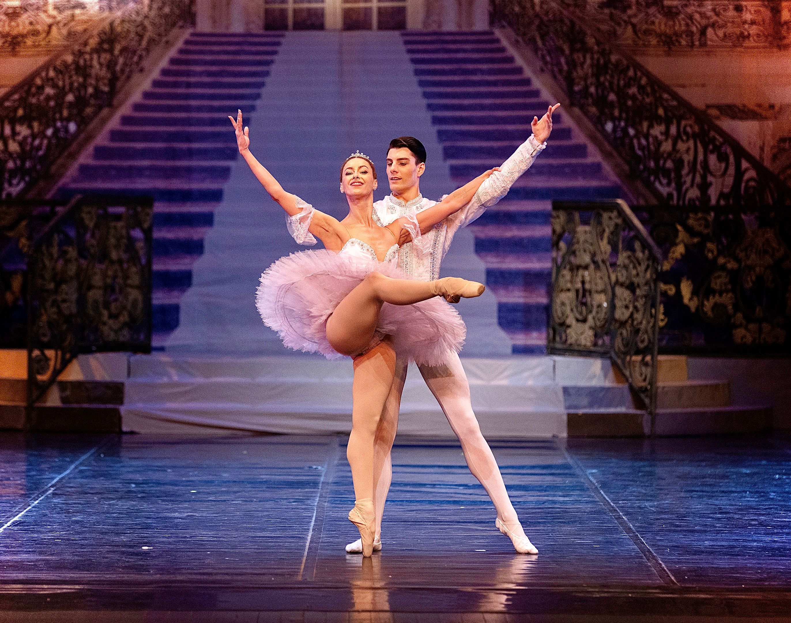 Het Zwanenmeer  - galerij 23