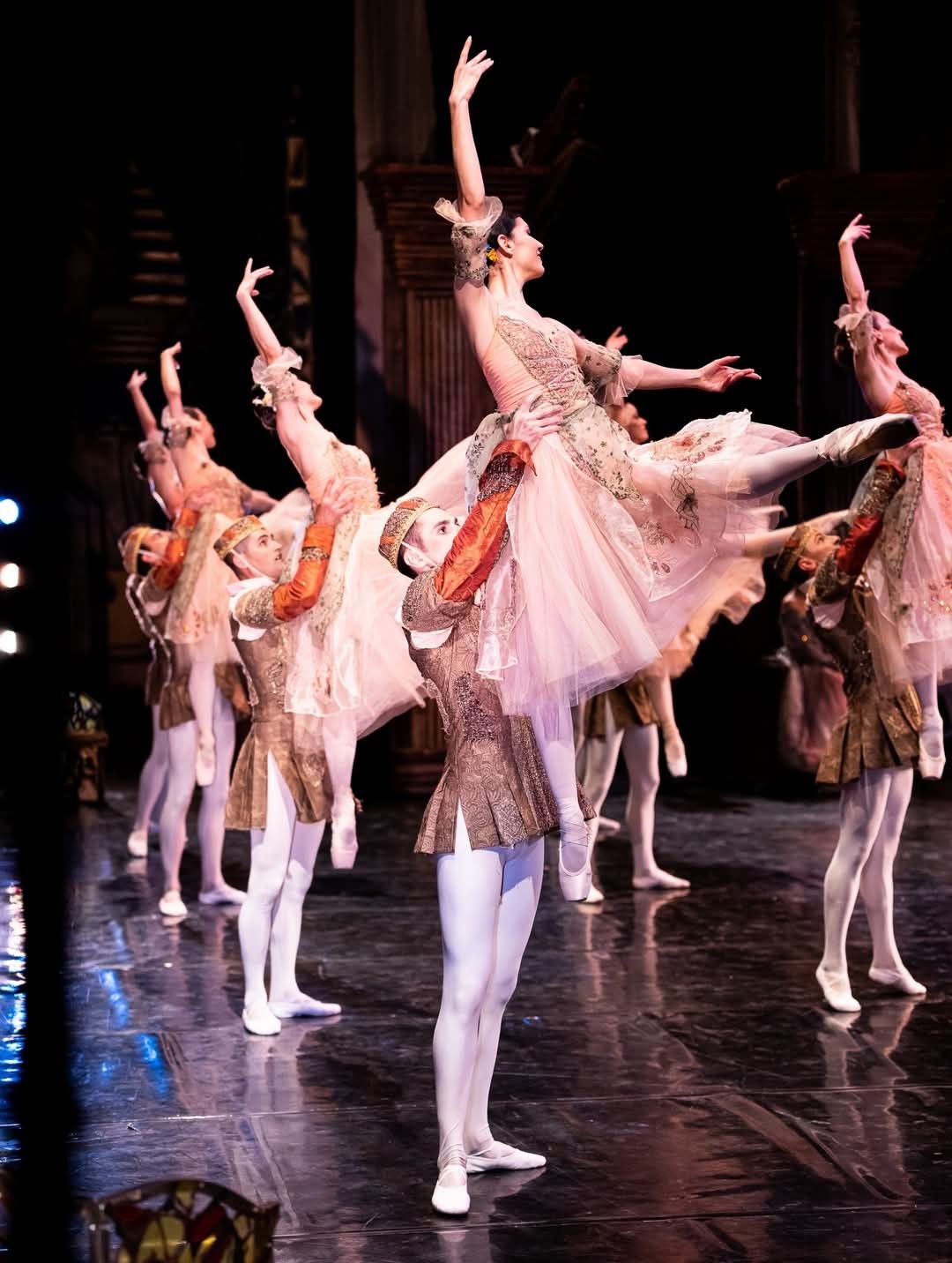 Het Zwanenmeer  - galerij 9