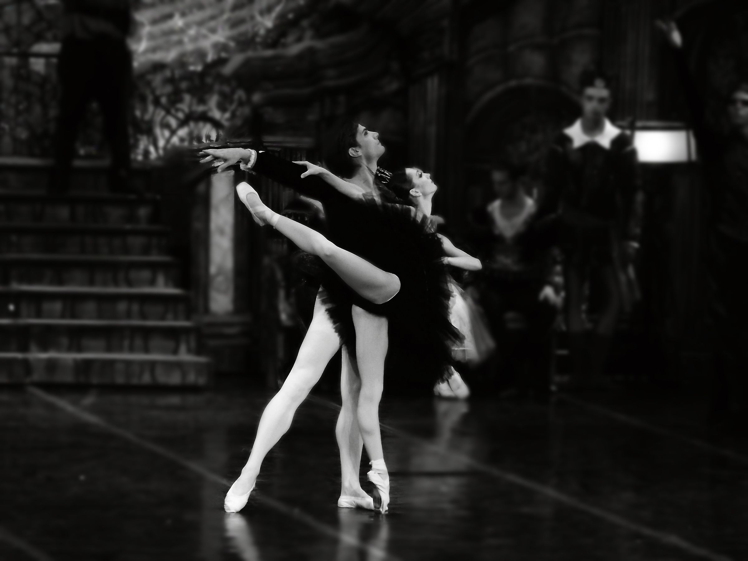 Het Zwanenmeer  - galerij 1