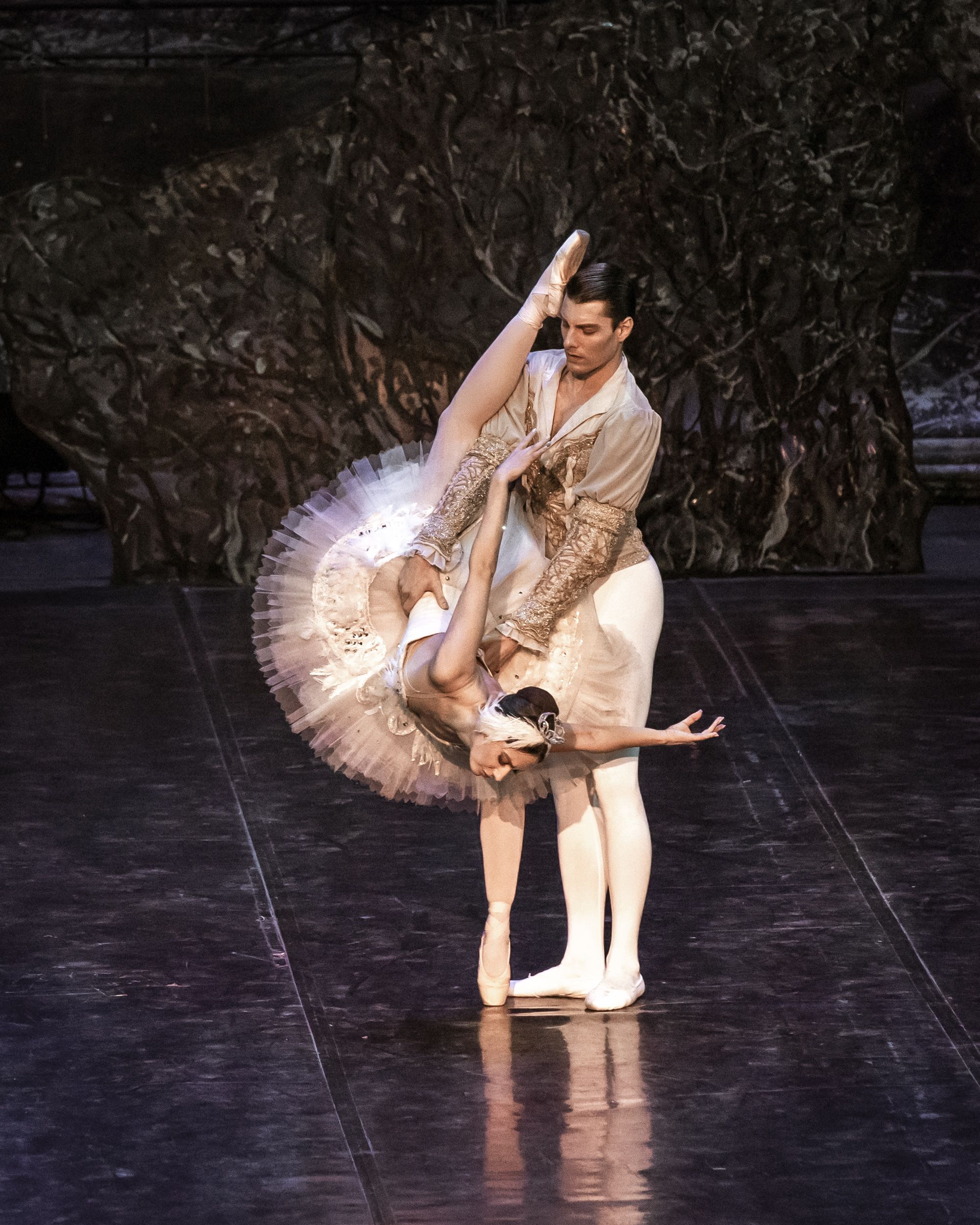 Het Zwanenmeer  - galerij 19