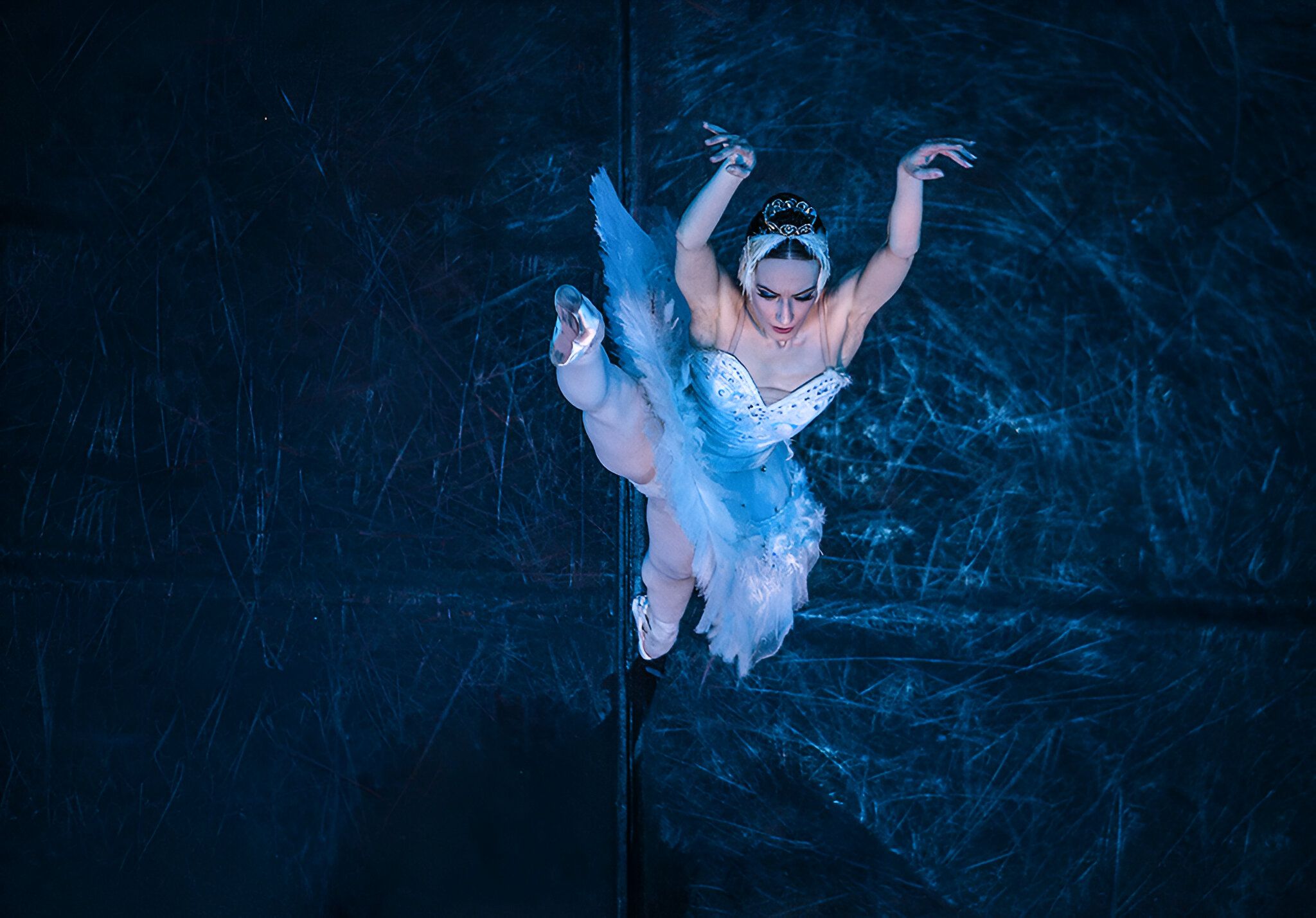 Het Zwanenmeer  - galerij 2