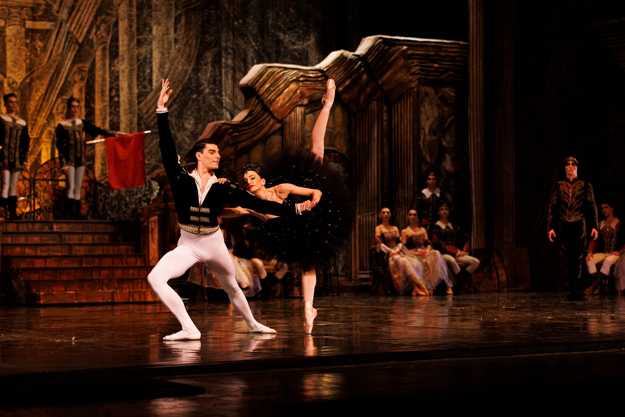 Het Zwanenmeer  - galerij 20