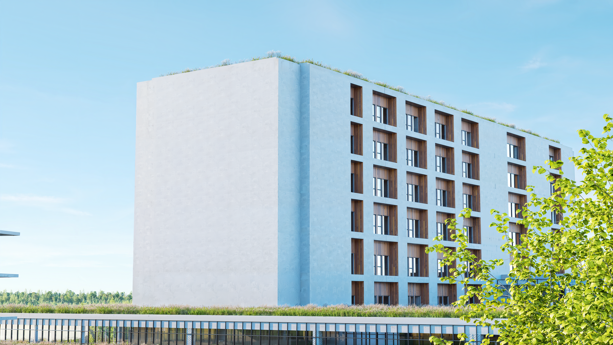 Hospital DSL · 6