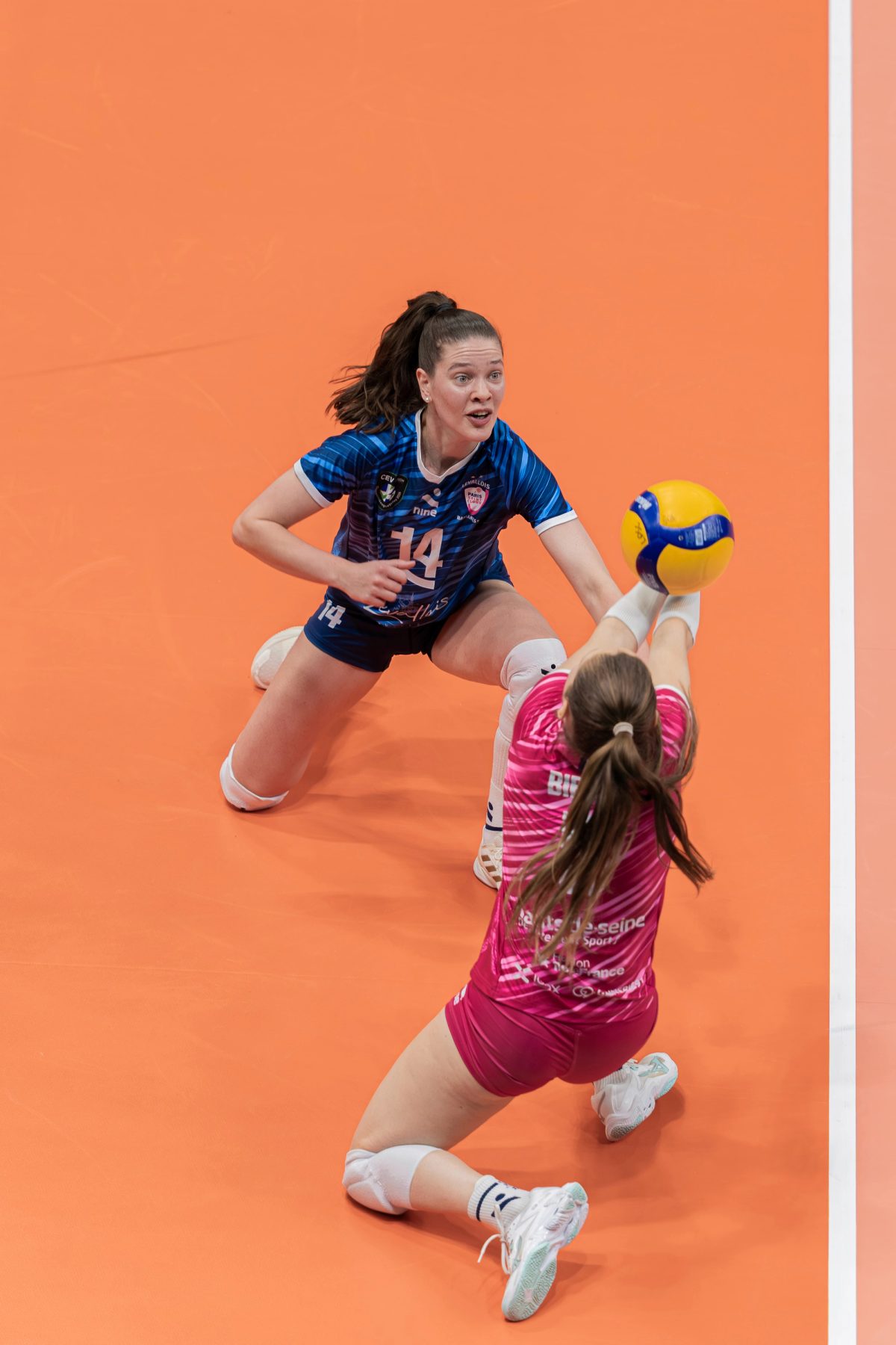 CEV Cup - Mariannes 92 — photographie de couverture