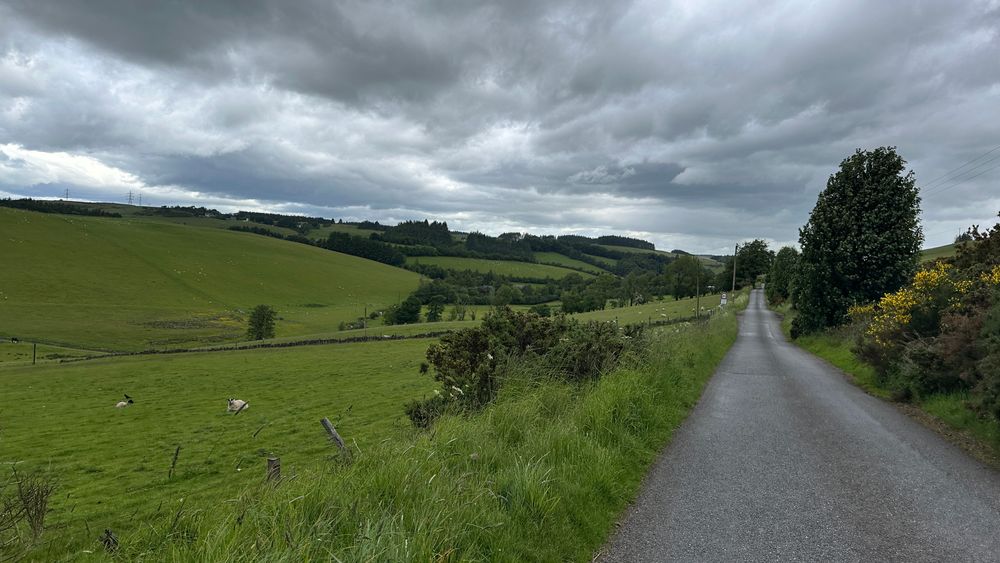 The road back into Glenfarg A long, straight single-lane country road