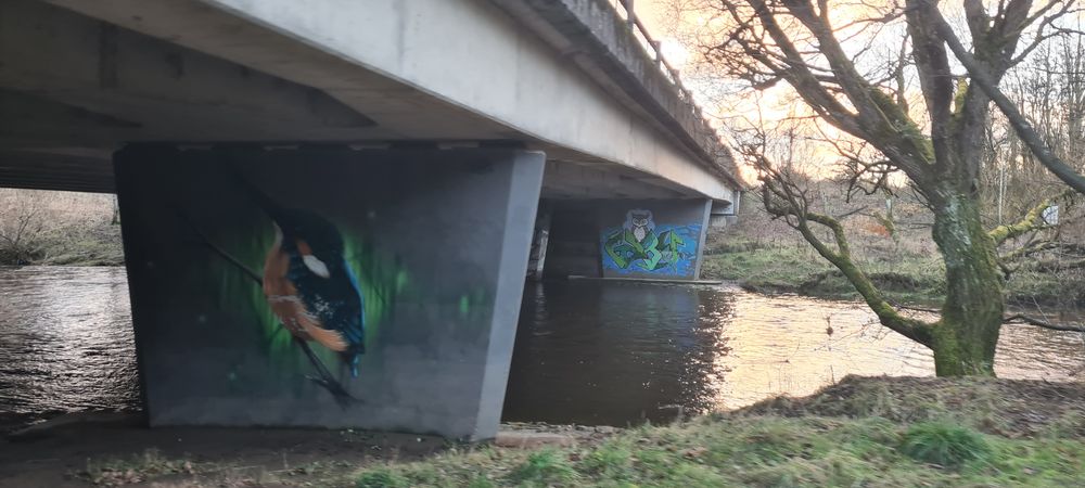 photo showing a bridge in Perth with graffiti art of a kingfisher and owl