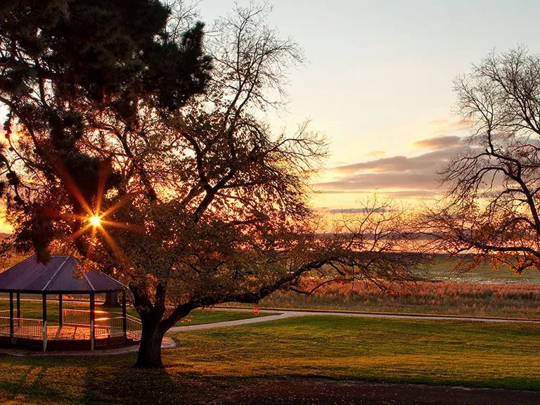 Sunset at park