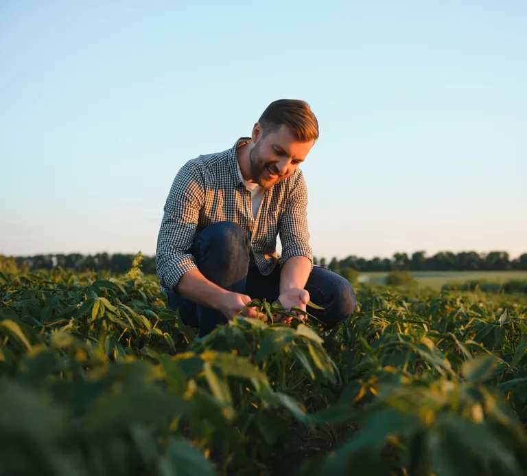 farmer looking at crops and smiling