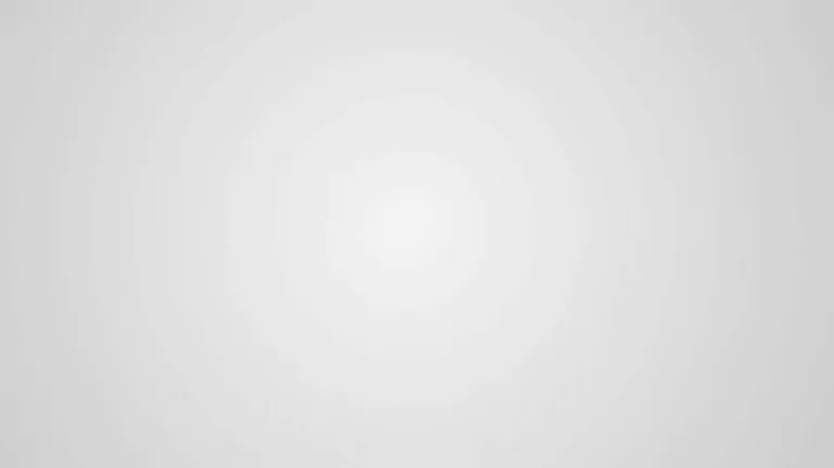 logos animated