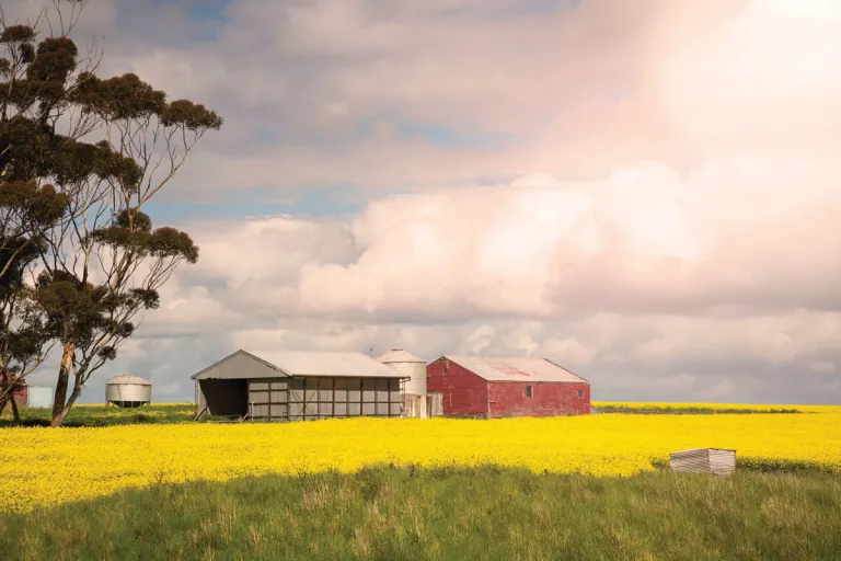 Farm Insurance