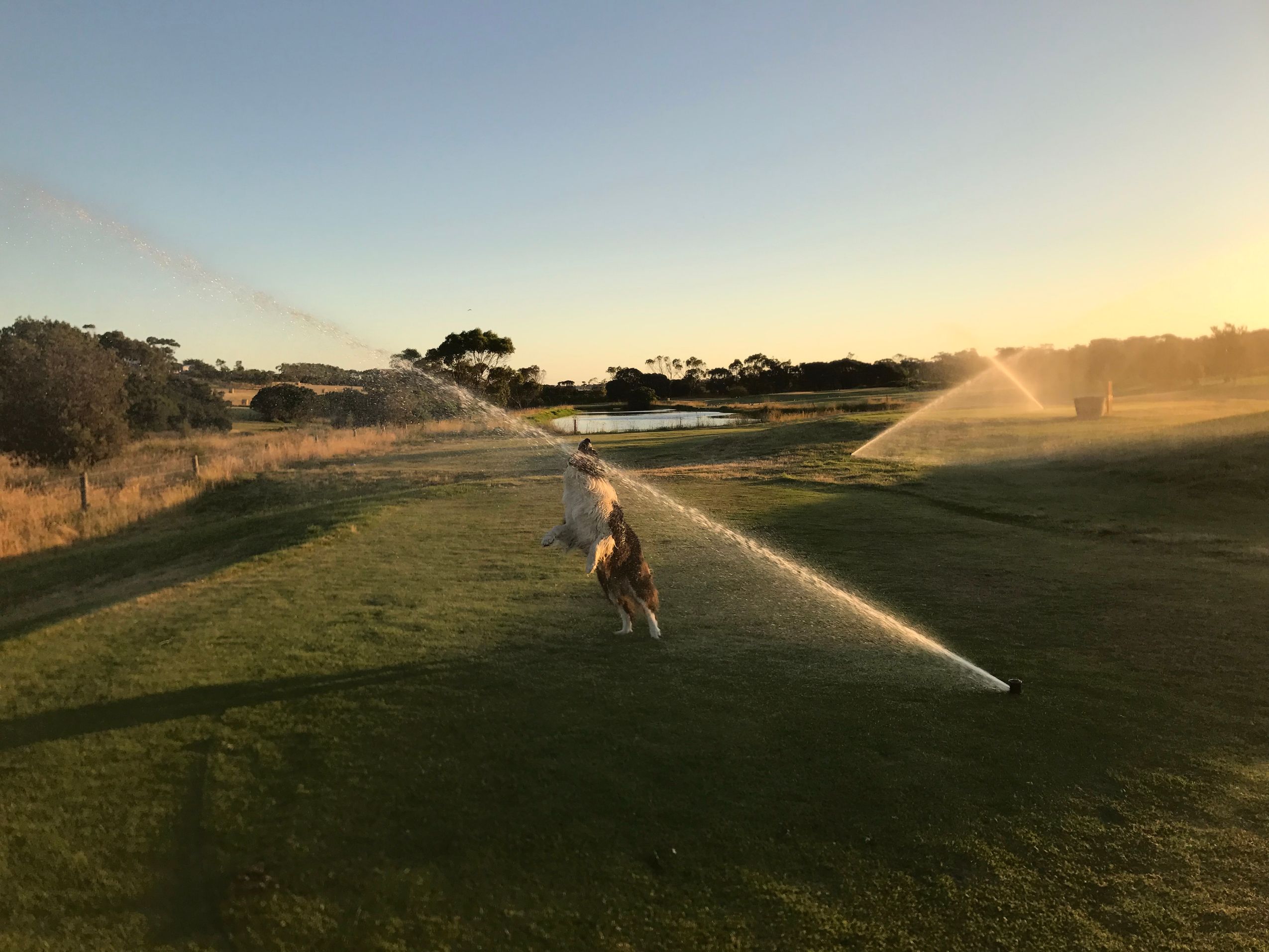 About | Red Rocks Golf