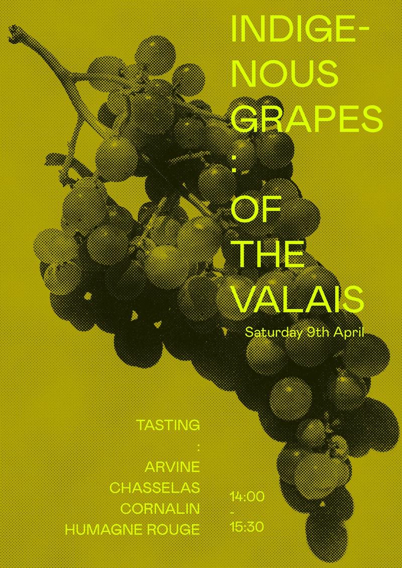 Wine Tasting: Indigenous Grapes of the Valais