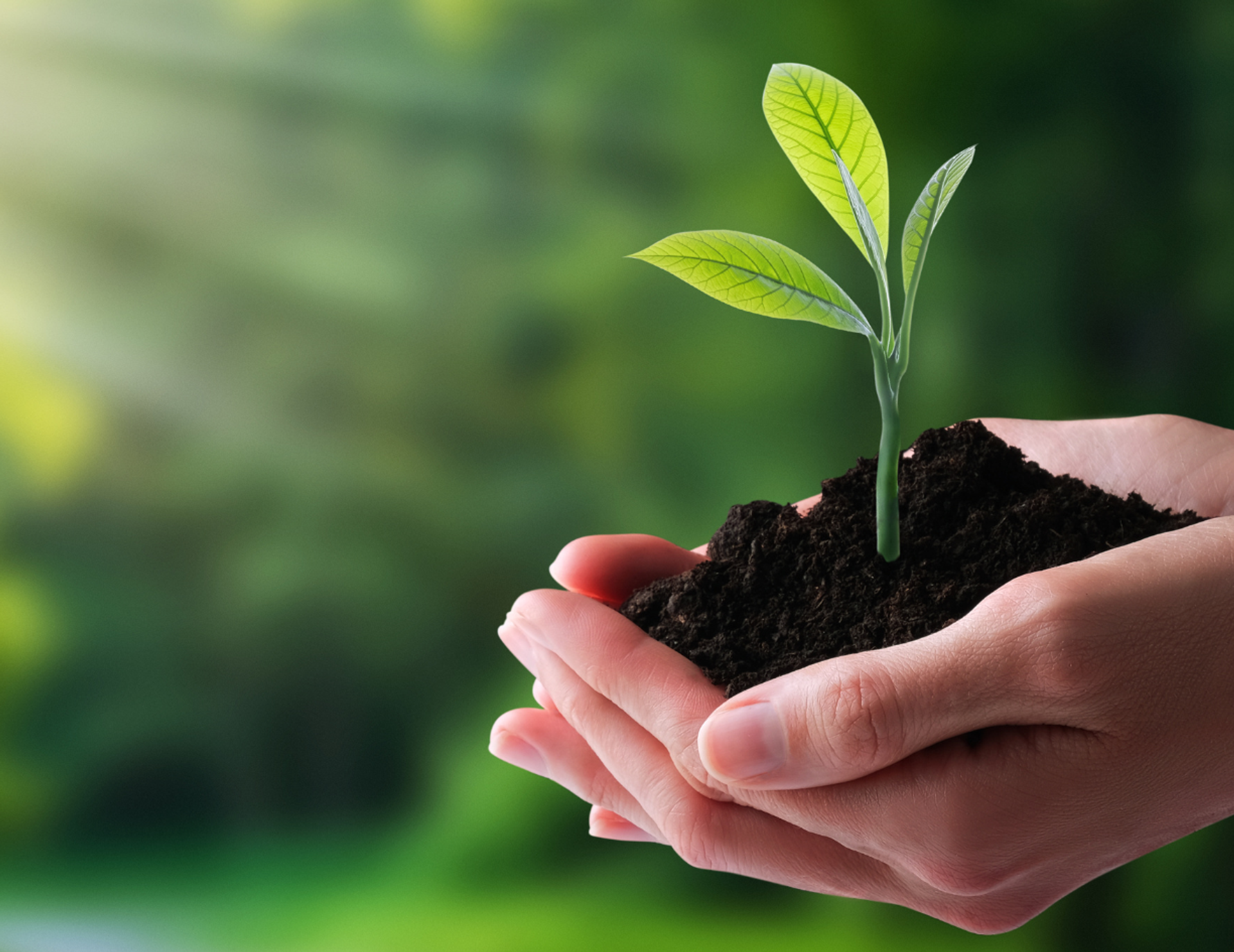 ISO 14001
