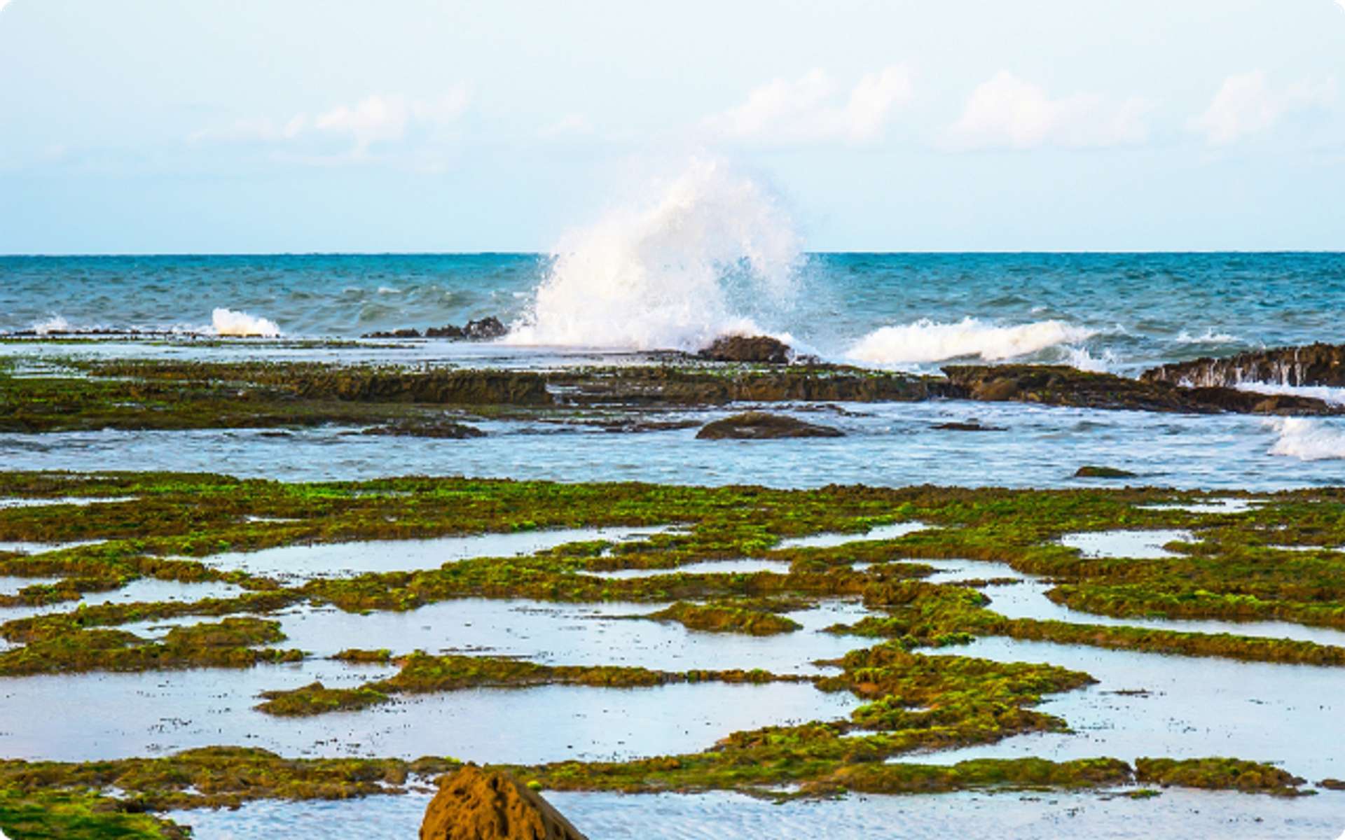 Sea water desalination