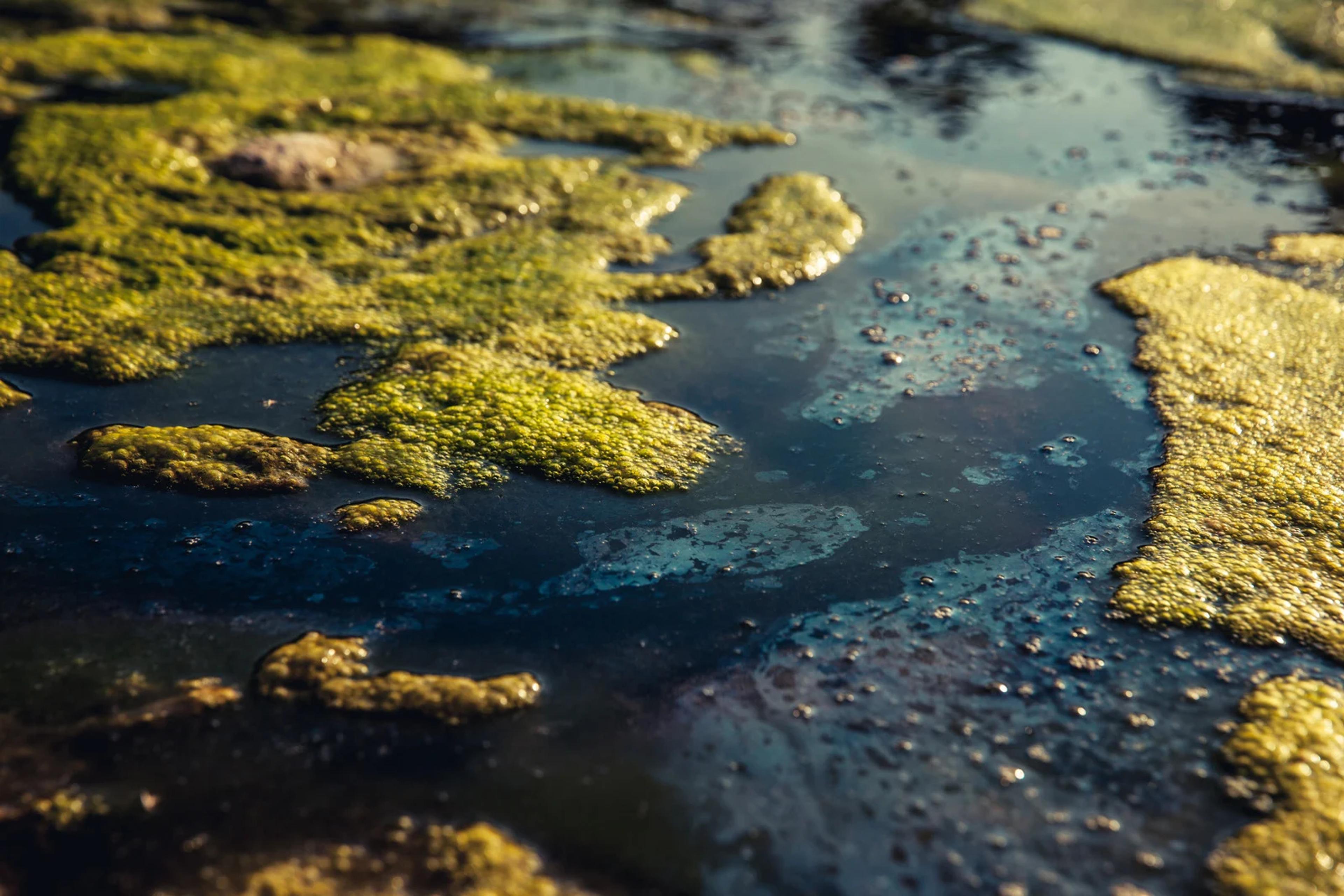 Advanced ceramic membranes