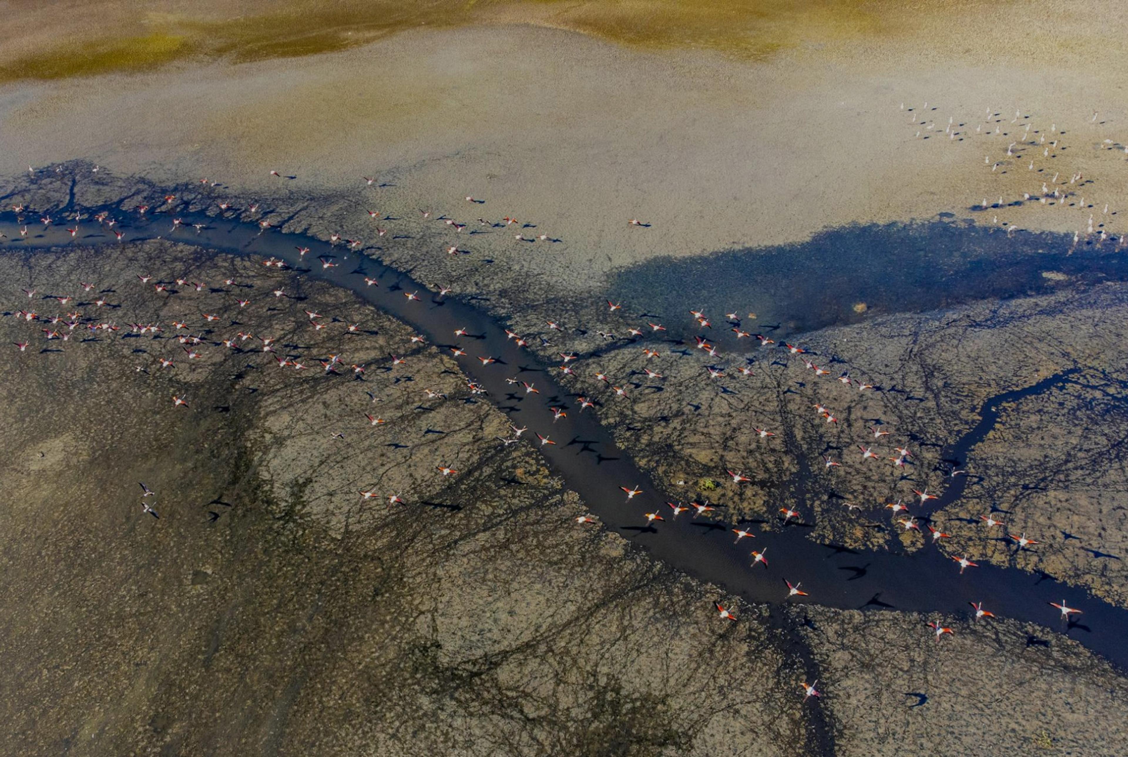 River