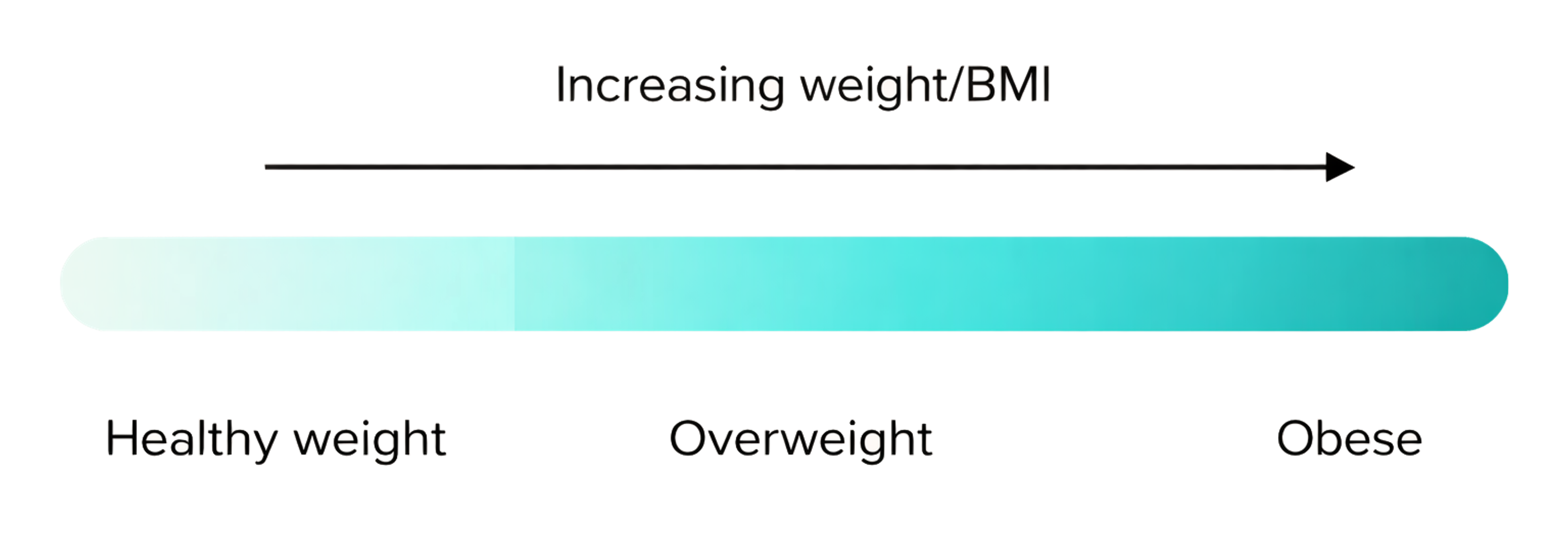 Scale demonstrating healthy wight BMI