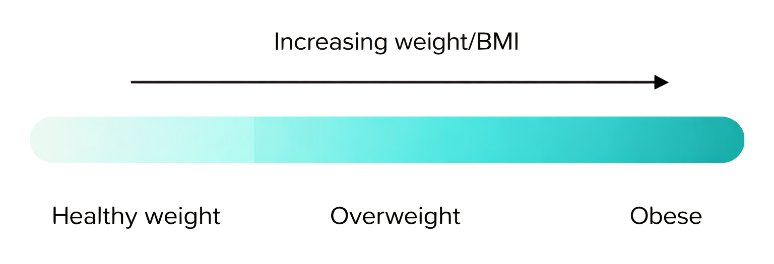 Scale demonstrating healthy wight BMI