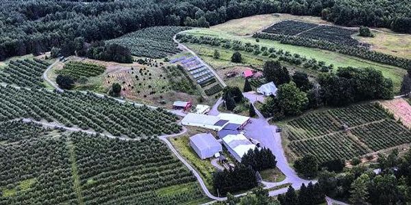 Green Mountain Orchards
