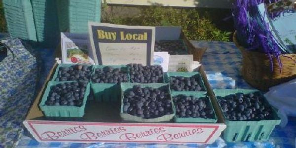 Boyd Family Farm