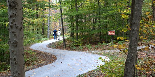 Hildene Walking Trails
