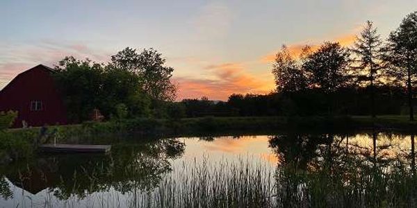 Wild Trails Farm