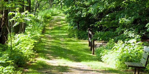 Wilgus State Park