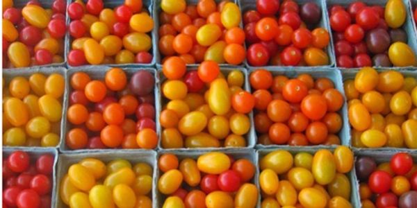 Dorset Year-Round Farmers Market