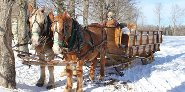 Sleigh Ride Days at Taylor Farm
