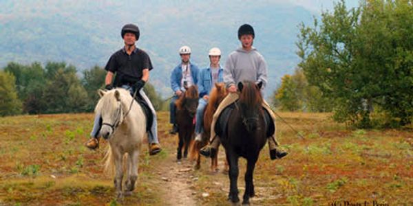 Ride the Trails on an Icelandic Horse