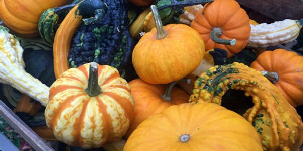 Caledonia Year-Round Farmers Market