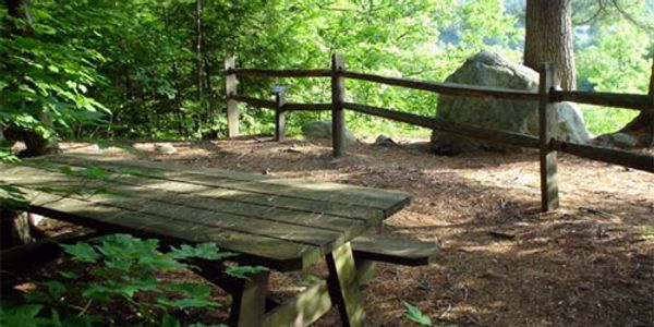 Fort Dummer State Park Trails