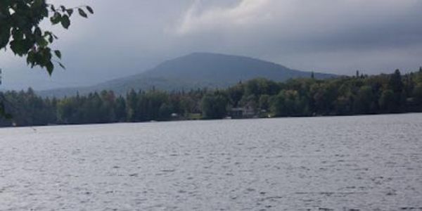 Newark Pond