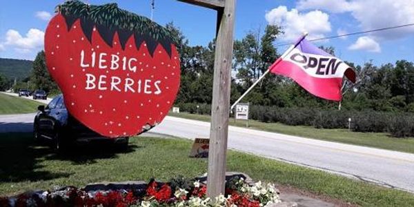 Liebig Berries