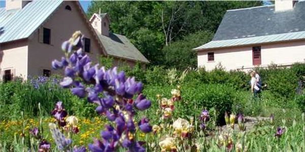 Justin Smith Morrill Homestead Gardens