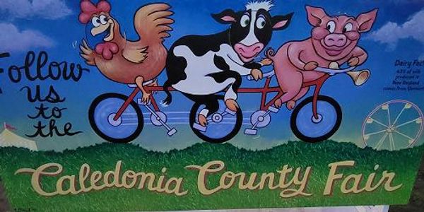 Caledonia County Fair 2022