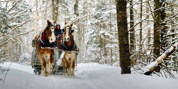 Feel the Hum of Sleigh Runners