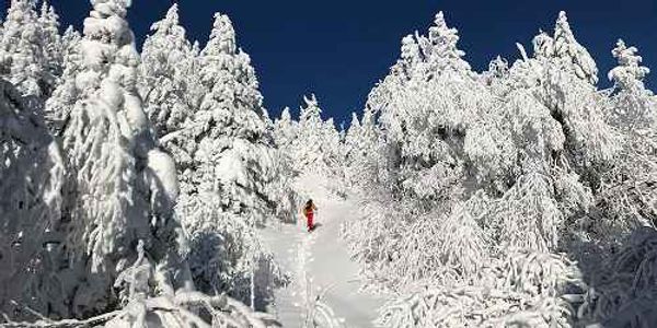 Bolton Valley Nordic and Backcountry Skiing