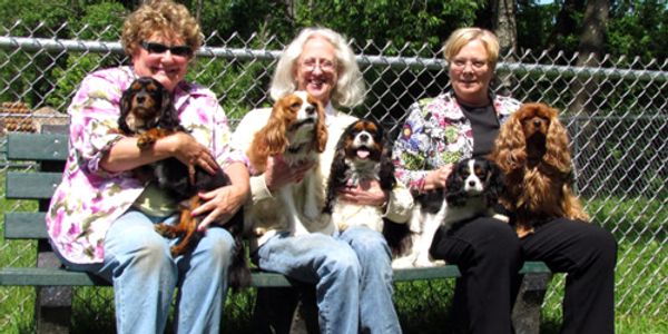Manchester Dog Park at Dana L Thompson Memorial Park