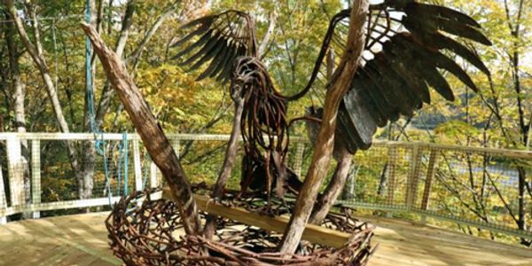 Forest Canopy Walk at VINS