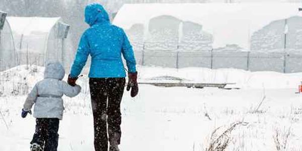 Intervale Center Nordic Trails