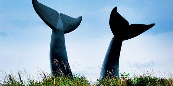 Whales Tails Walking Path