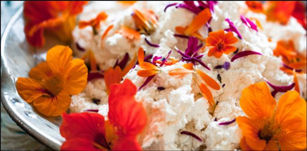 Vermont Cheesemakers Festival 2019
