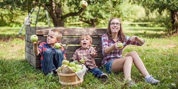 Mendon Mountain Orchard