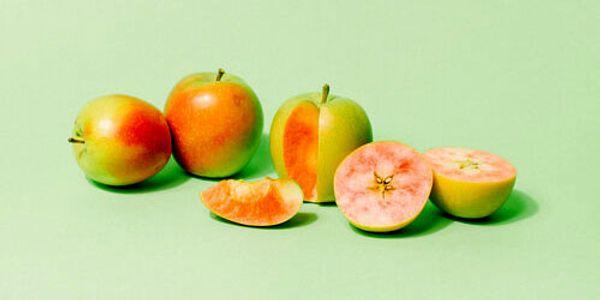 Heirloom Apple Day 2021 at Scott Farm
