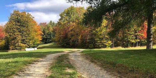 Wild Trails Farm