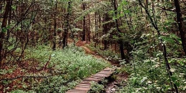Brattleboro Retreat Trails
