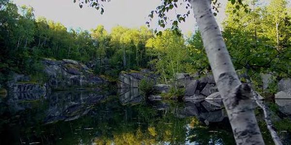 Barre Town Forest and Millstone Hill