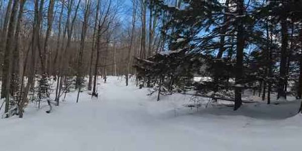 Blueberry Lake Cross Country Ski & Snowshoe Center