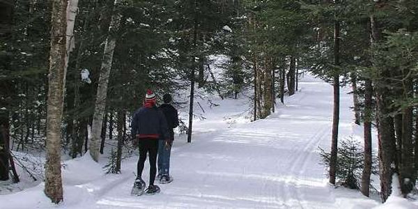 Timber Creek Cross Country Ski Center